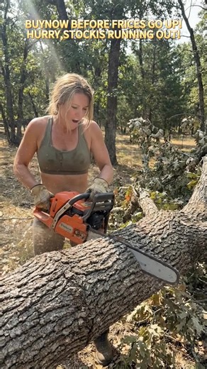 Upgrade Your Chainsaw with Diamond Coated Grinding Bits