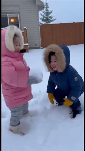 The chaos of a snow day... 😂❄️