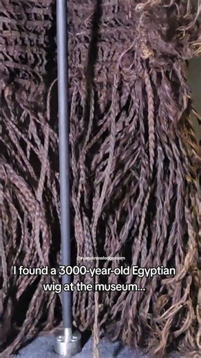 I found a 3,000-year-old Egyptian wig…