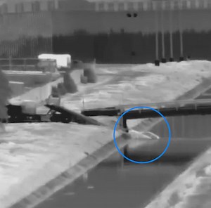 8.7K views · 114 reactions | Yuma Sector Border Patrol agents rescued...