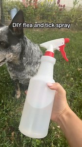 1M views · 8.9K reactions | DIY dog flea and tick repellent. This is not a prevention please do your own research and do what’s best for your dog! #fleaandtick #doglover | thezcattledogs | Facebook