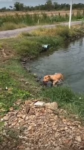 Sani Varshney on Reels