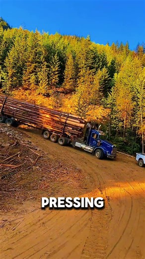 Peterbilt on Fire? Watch the Brakes Fail 😱