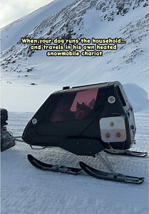 Heated Snowmobile Chariot for Dog on Svalbard