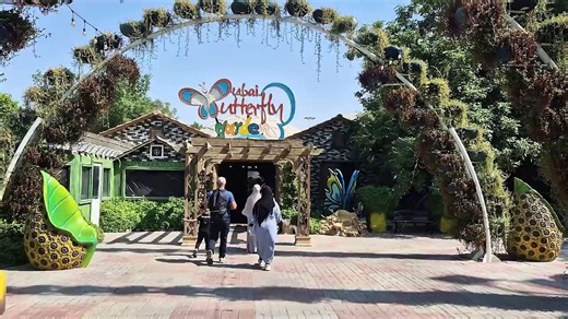 Watch species of butterflies at Dubai Butterfly Garden
