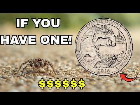 2018 Quarter Dollar Worth Money Surprising Collector Prices