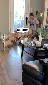 These puppies love to play this game 😄 | Fluffy Animals
