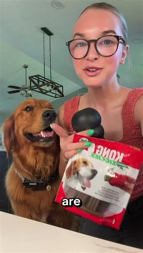 Easy KONG Ziggies Dog Enrichment Toy Tutorial