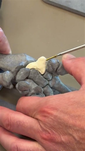Practicar técnicas complejas sobre soft bones cada vez más realistas!