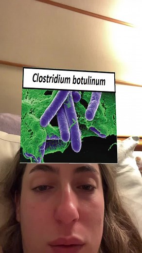 Finn (@morefinns.vlogs)’s videos with original sound - Finn