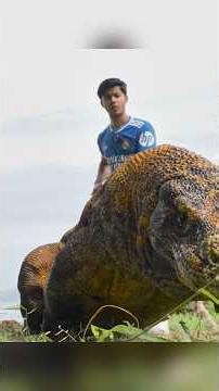 Living with World’s Largest Lizard on Earth!