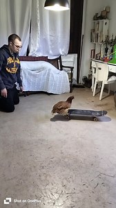 Flip quả mượt đấy | Dear Radio