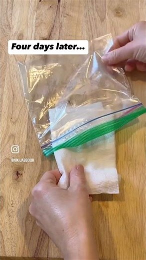 An Easy Way to Check if Your Seeds are Still Good