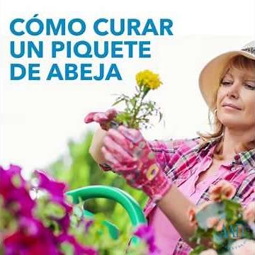Cómo Curar un Piquete de Abeja
