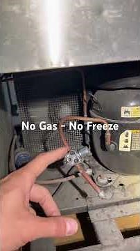 True Freezer Not Freezing? ❄️➡️💨 Refrigerant Leak Found! No Gas – No Freeze.