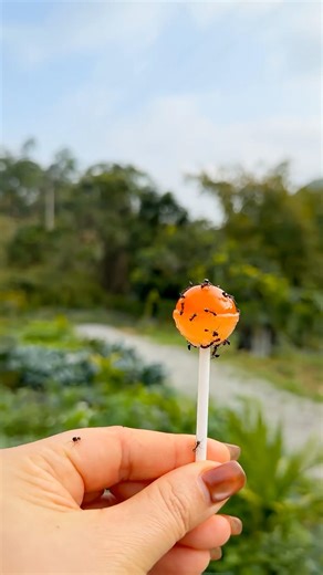 Gia đình vui vẻ, cùng qỏả cam ớt cay bí ẩn và các loại nước sốt cà phê, thơm ngon