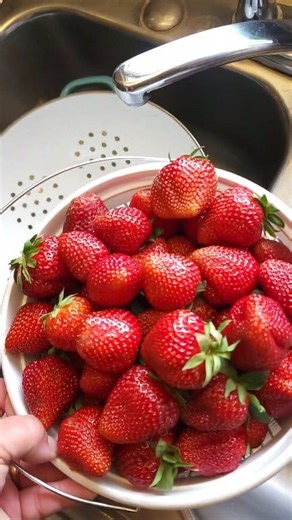 I'm on a journey of secretly paying off the land loan before we build the house. Using recipe content to make a living. I've gained 190k new Facebook followers, 145k new Instagram followers, and monetized on TikTok. My website traffic has increased 150% compared to last year. Food bloggers make income from ads on their websites, Amazon storefront orders, and some from Facebook monetization. (it takes 3 months to get paid for whatever I make this month!!) Thank you for following our journey of bu