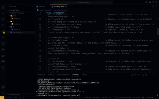 8.Debugging TypeScript Applications