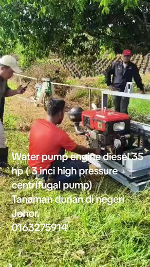 Asalamualaikum semua rakan Tik tok. Water pump engine diesel 35 hp. key stater engine c/w bateri N70. Tanaman durian di negeri Johor. Terima kasih bos. Sangat sesuai digunakan untuk ladang pertanian yang luas dan berbukit. Berminat boleh hubungi saya. Kamal.0163275914 Terima kasih asalamualaikum semua. #waterpumpenginediesel #tanamandurianmusangkingdipot #tanamandurian #pertubuhanpeladang #jabatanpertanianmalaysia #kolamternakanikanairtawar #hafismachinery #kebunsayur #jabatanveterinarmalaysia #