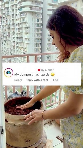What people think about composting kitchen waste vs what it actually is!