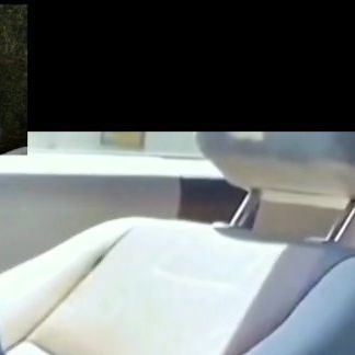 Dog lovers on Instagram: "Funny pets collection 33, let them bring you happiness!#dog #pet #funny #fyp #foryou #foryoupage #instagood #instagram"