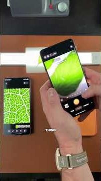 Oppo vs Samsung vs iPhone Macro Mode Test #MacroMode #PhoneCamera