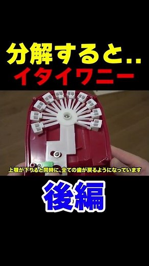 【なるほど】分解したら分かるイタイワニーの歯の位置が変わる理由#shorts