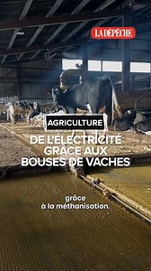 376K views · 4.1K reactions | De la bouse de vache pour faire... de l'électricité. C'est possible grâce à la méthanisation, et c'est le système qu'a fait installer David, dans son exploitation en Aveyron. Il revend ensuite son énergie et génère jusqu'à 60 000€ par an. | La Dépêche du Midi | Facebook