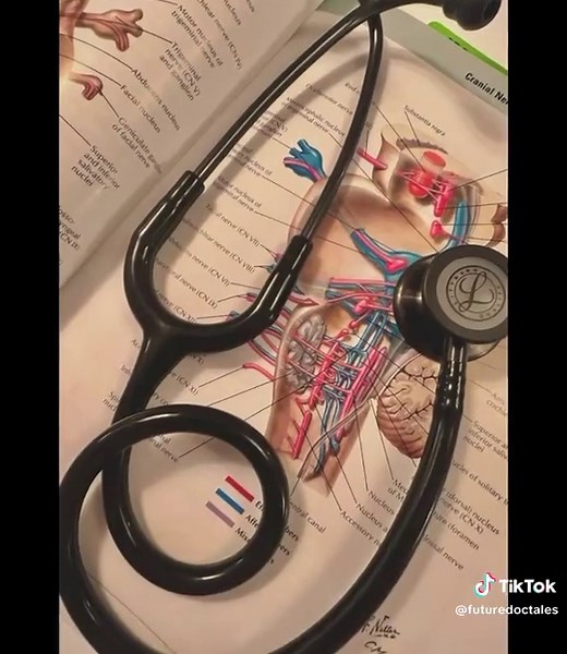 Life as a Medical Student: Journey to Becoming a Doctor