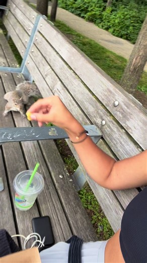 Nourrir les mignons animaux à New York