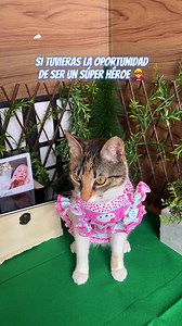 210K views · 8.6K reactions | Mi super poder 隸! | apolocatv | Facebook