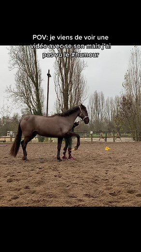 J’espère que c’est une blague sa video …un carnage … #horse #pourtoi #equestrian #foryou #cheval #fyp