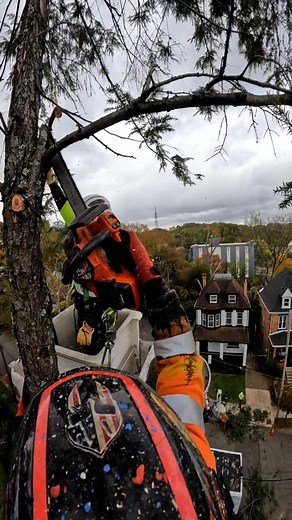 95 reactions · 15 comments | A little tag team action | Johnny Sawdust | Facebook