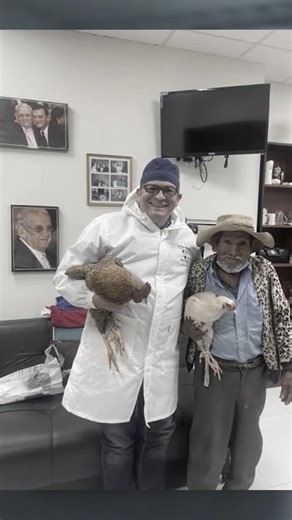 THE TWO HENS #shorts #memes #real