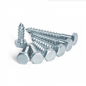 [Hot Item] Customized Stainless Steel Penta Head Wood Coach Screws Lag Bolts