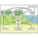 Computer Models Help Fight Climate Change