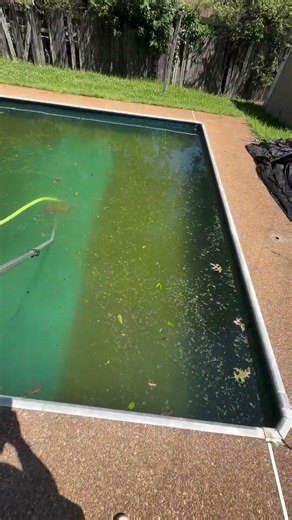 Green Pool Cleaning Transformation"