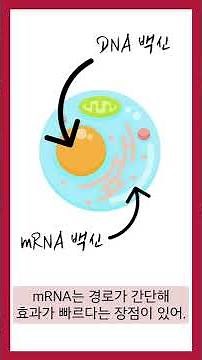 DNA 백신과 mRNA 백신