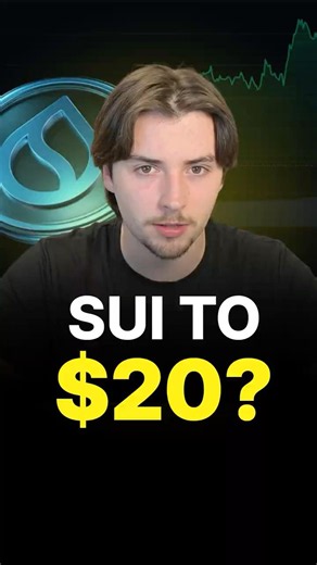 Why I Have Zero Doubts About SUI #crypto #sui