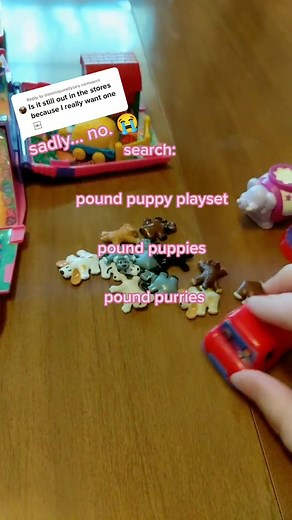 Vintage 1995 Pound Puppies Playset for 90s Kids!