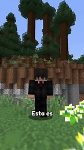 79K views · 2.3K reactions | El mejor truco para esconder cofres en Minecraft!#minecraft #parati #fyp #minecraftsurvival | notramix | Facebook