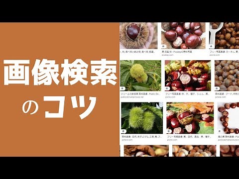 画像検索のコツ