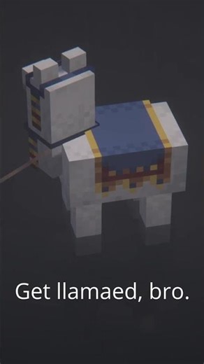 Llama spinning moment.