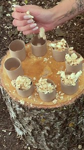 Eco-Friendly fire starter candles | Handy Panda