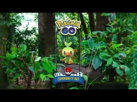 GROOKEY COMMUNITY DAY IS STACKED 🌿🔥 | 3x STARDUST + SHINY GROOKEY Pokemon Go