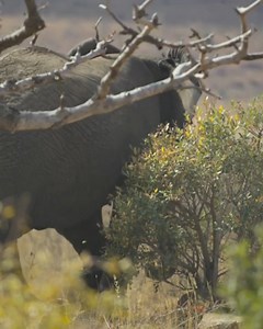 259K views · 9.5K reactions | Animal Fan | Animal Fan | Facebook