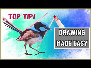 Master Bird Drawing In Minutes With This Beginner Tip