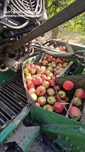Apple 🍎 Harvester EASY PICKER For Harvesting Industrial Apples || Made By PRO-CNC Poland || #farming