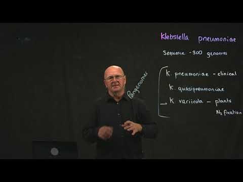 Klebsiella Introduction