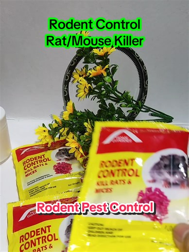 Effective Rodent Pest Control Solutions at Home